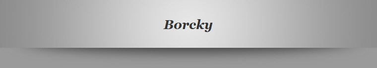 Borcky